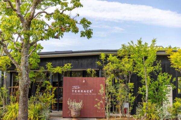 The TERRACE